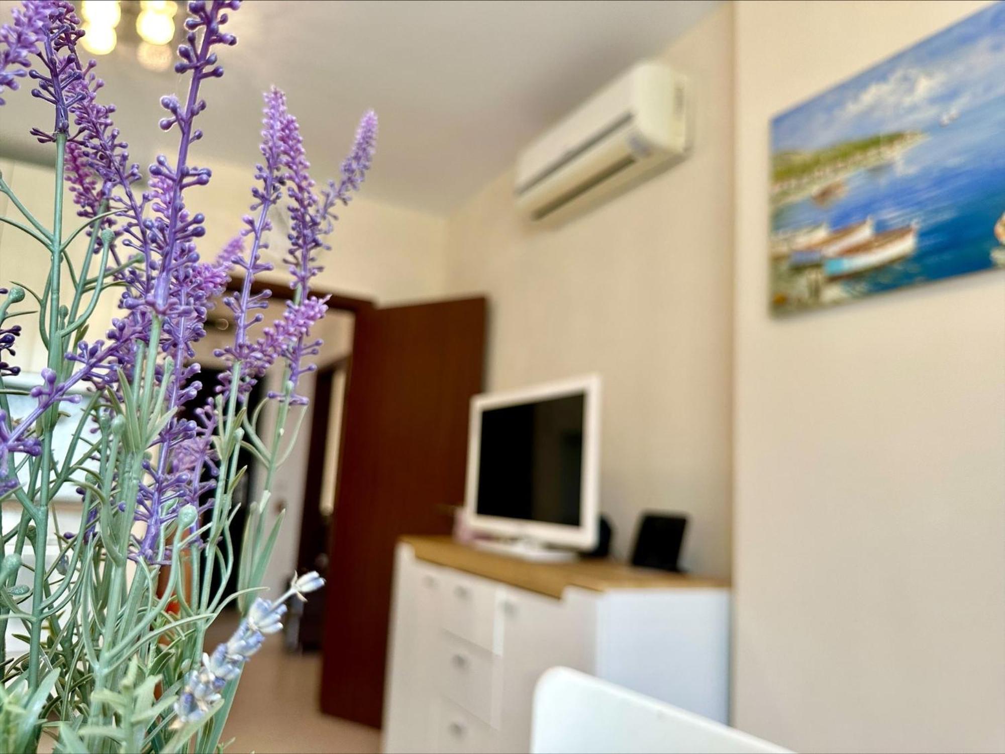 Menada Apartments In Cascadas サニービーチ 部屋 写真