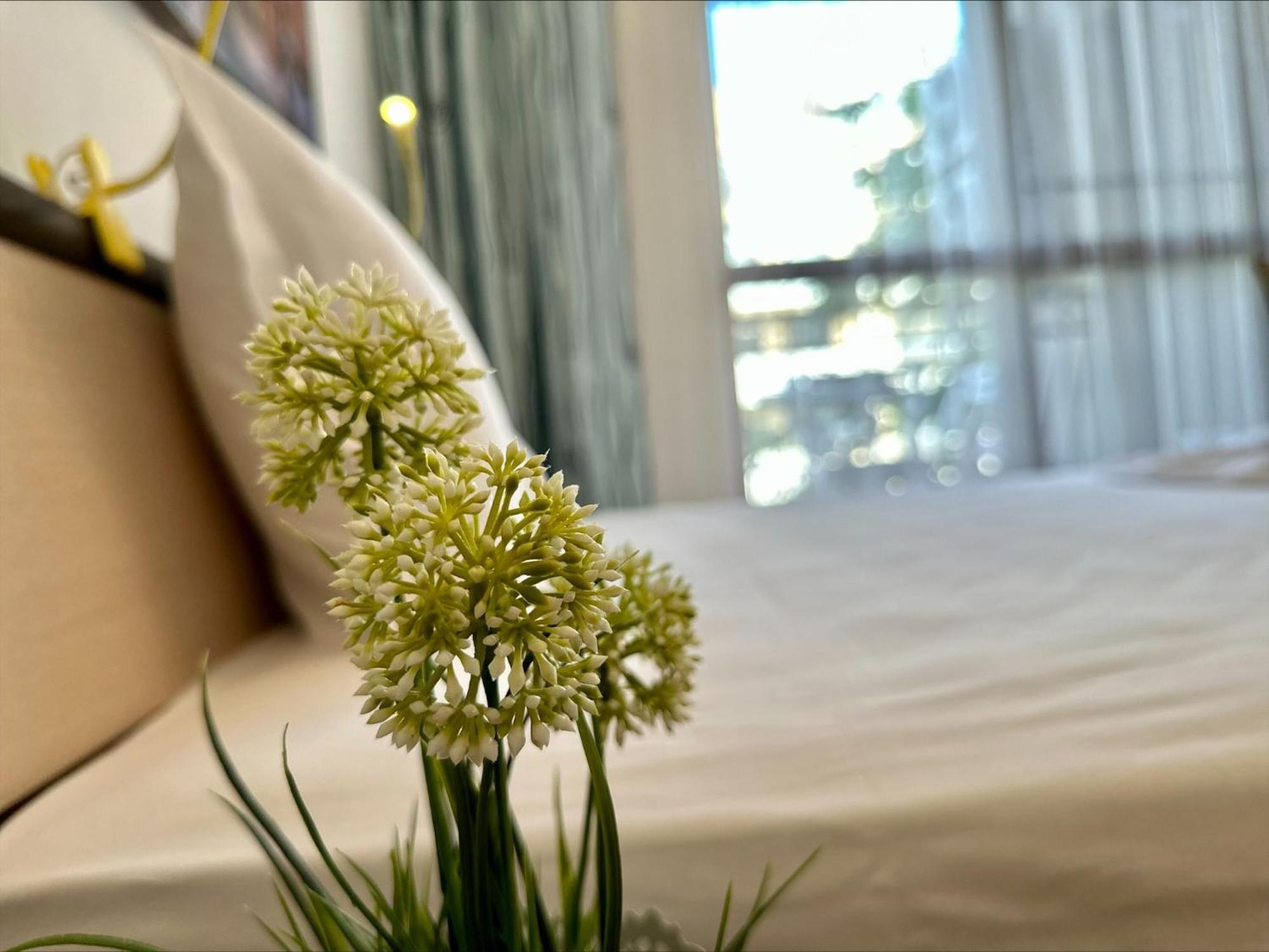 Menada Apartments In Cascadas サニービーチ 部屋 写真